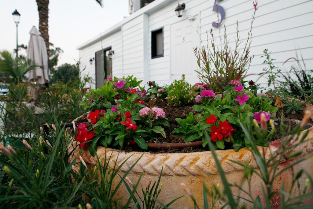 Kinneret Village Zewnętrze zdjęcie