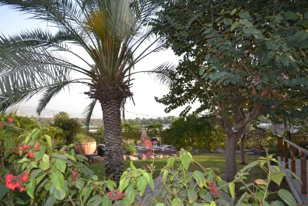 Kinneret Village Zewnętrze zdjęcie